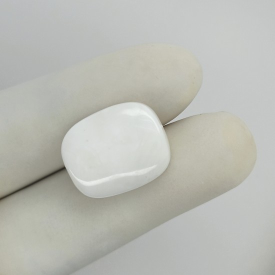 White Coral (Safed Moonga) 16.85 Ct Gem Quality White Coral (Safed Moonga) 16.85 Ct Gem Quality